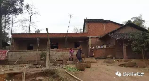 65建兄弟雙拼別墅，重回農(nóng)村，只為父母的期盼