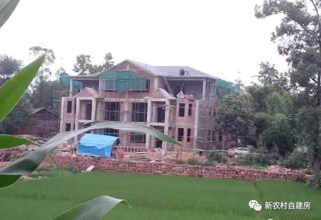 65建兄弟雙拼別墅，重回農(nóng)村，只為父母的期盼