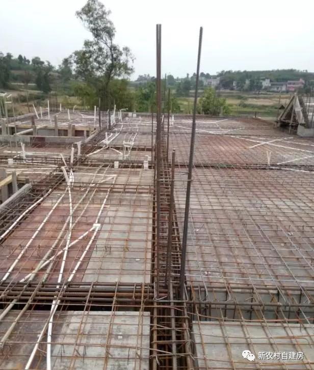 65建兄弟雙拼別墅，重回農(nóng)村，只為父母的期盼