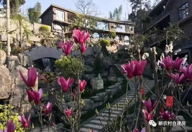 他花1200萬把園林搬回家，這才是人生的贏家