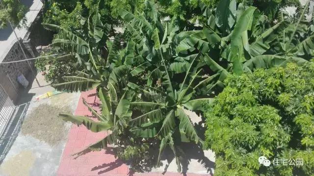 海南三層別墅，只為這片云一切都值了！