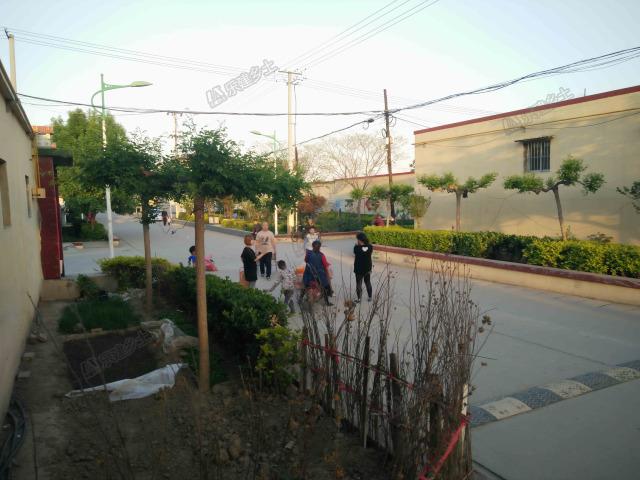 華北地區(qū)典型一層自建房實(shí)景展示，相信你曾在哪兒見過