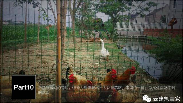 清明小長(zhǎng)假，寶家業(yè)主回鄉(xiāng)下，一起來(lái)體驗(yàn)寶家自建別墅一天的日常