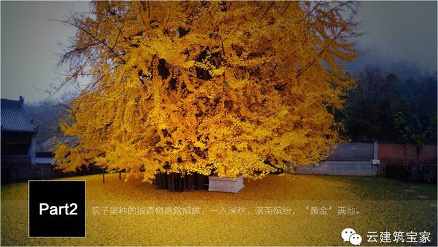 清明小長(zhǎng)假，寶家業(yè)主回鄉(xiāng)下，一起來(lái)體驗(yàn)寶家自建別墅一天的日常