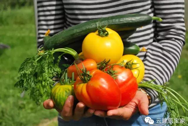 田園風(fēng)景房，未來舒適生活的新標(biāo)桿