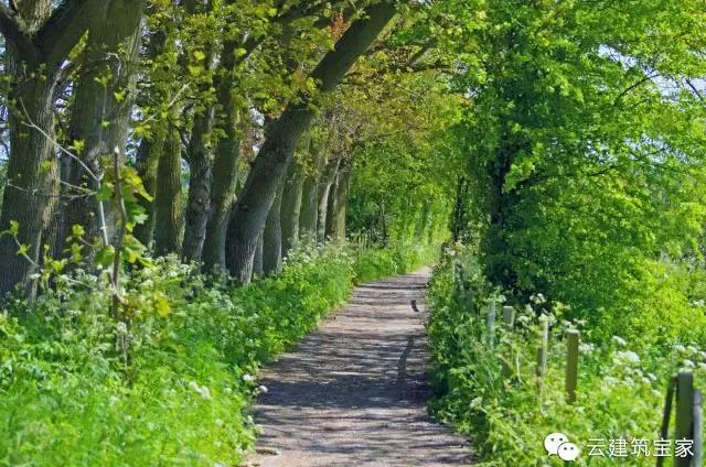 田園風(fēng)景房，未來舒適生活的新標(biāo)桿