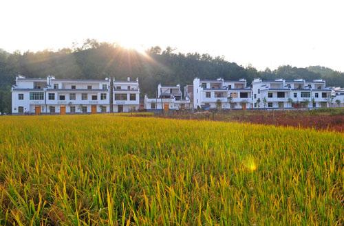 自建房不得超過3層！江西贛州就農(nóng)村自建房管理辦法對(duì)外征求意見