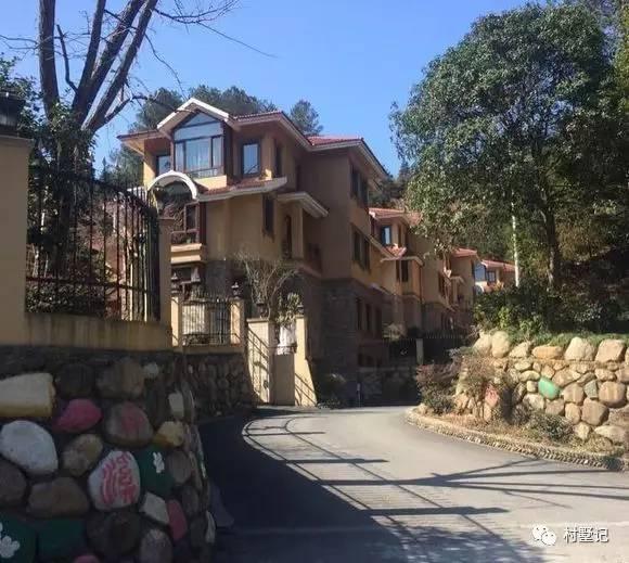 實(shí)拍10款農(nóng)村建的別墅，隨便一套都能讓你在村里挺直腰桿