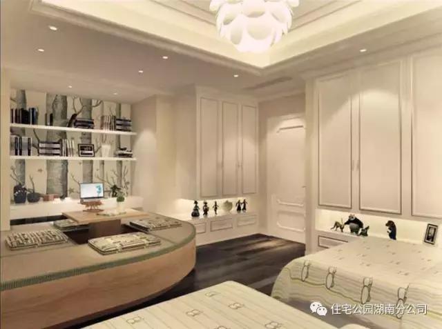 11X12米農(nóng)村別墅，柴火房鍋爐房，影視廳健身房樣樣全！