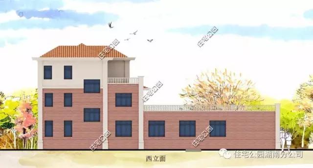 11X12米農(nóng)村別墅，柴火房鍋爐房，影視廳健身房樣樣全！