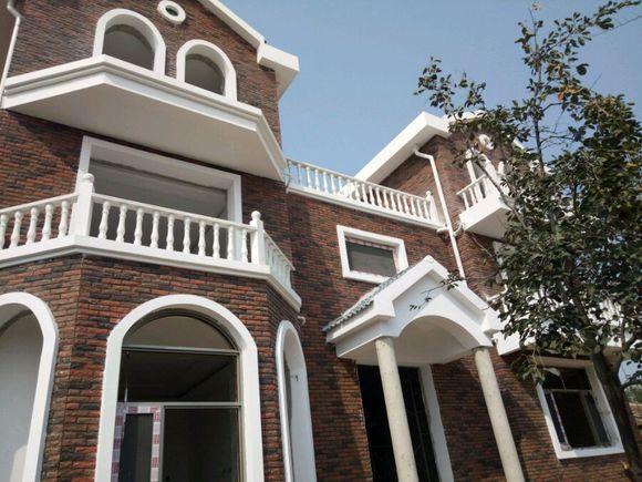 因?yàn)楦F相親被嫌棄，5年后逆襲回鄉(xiāng)建豪宅