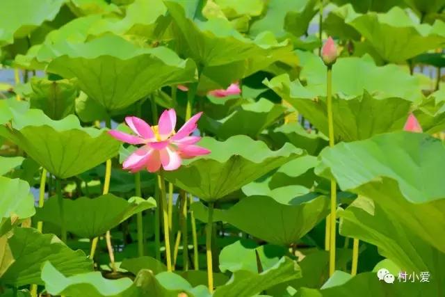 免費帶你游覽京郊最美的法國格拉斯小鎮(zhèn)