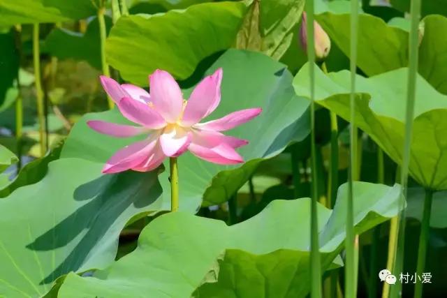 免費帶你游覽京郊最美的法國格拉斯小鎮(zhèn)