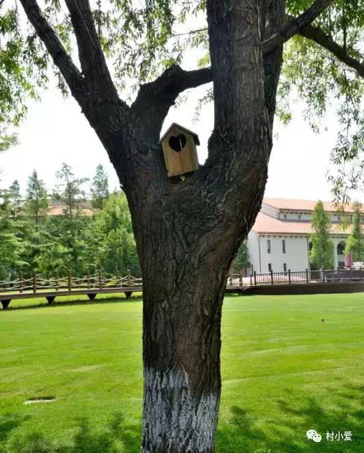 免費帶你游覽京郊最美的法國格拉斯小鎮(zhèn)