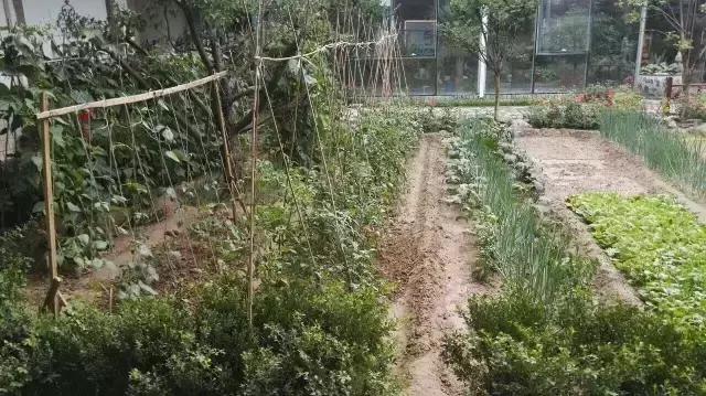 京郊的田園庭院，您也可以擁有