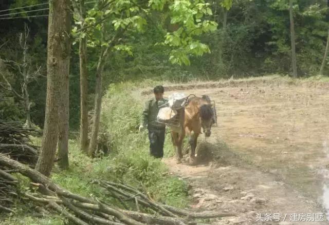 湖北農(nóng)村自建房，村民不讓修馬路，全程用馬拉材料