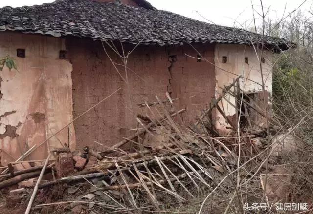 仿照這張外觀圖建房，建出來的效果讓村里人都笑了