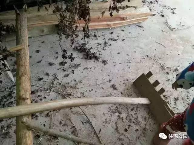 重慶蓋房直播，房主充當小工親自上陣，建成36萬引全村圍觀！