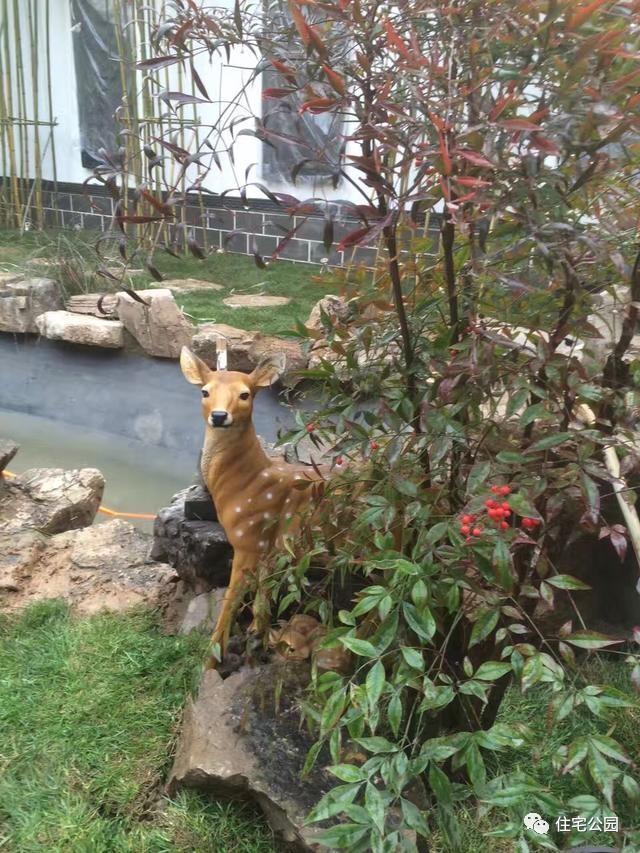 200平庭院改造，破舊空地?fù)u身一變園林美景，23萬就能搞定？