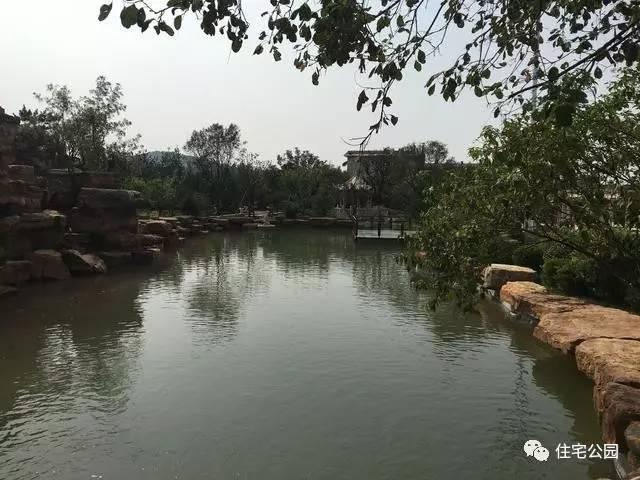 山東豪擲500萬自建園林美景，故宮后花園都不能與之匹敵！