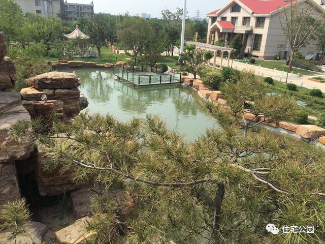 山東豪擲500萬自建園林美景，故宮后花園都不能與之匹敵！