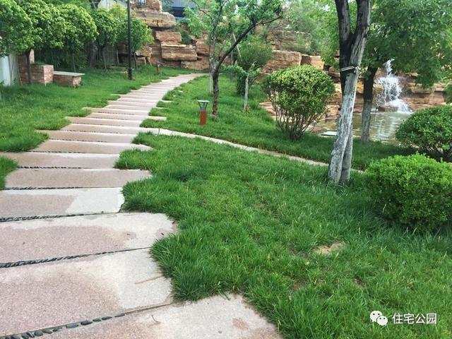 山東豪擲500萬自建園林美景，故宮后花園都不能與之匹敵！