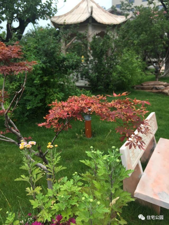 山東豪擲500萬自建園林美景，故宮后花園都不能與之匹敵！