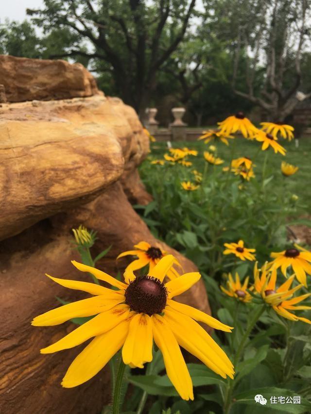 山東豪擲500萬自建園林美景，故宮后花園都不能與之匹敵！