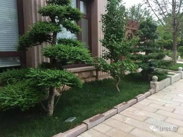 山東豪擲500萬自建園林美景，故宮后花園都不能與之匹敵！