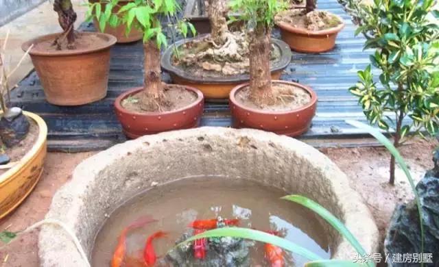 陜西自建四合院式住宅，古色古香，全被一個(gè)海爾太陽能熱水器毀了