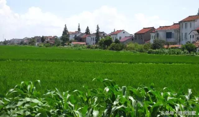 江蘇美女回娘家干了件動(dòng)靜不小的事兒，鄰村的都跑來看熱鬧