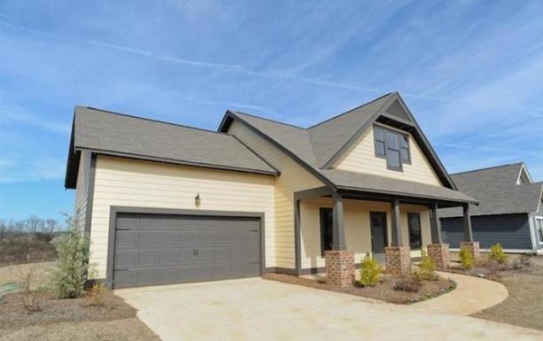 16套二層鄉(xiāng)村別墅，借錢也要建，有面又有范