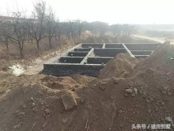 河北兄弟自建兩層聯(lián)排住宅，外觀氣勢仿若“故宮”