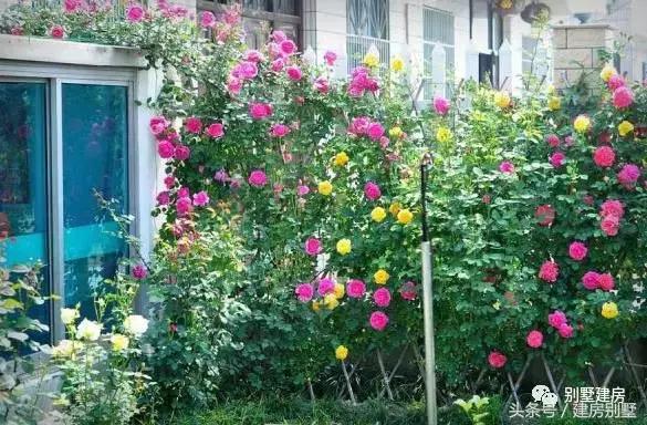 浙江湖州土豪老板自建三層豪宅，快活似神仙