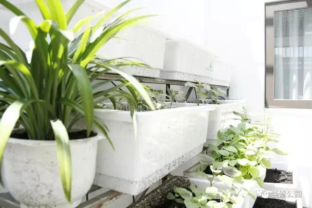 6.5米X11米，滿眼綠色的鄉(xiāng)村別墅，含平面圖