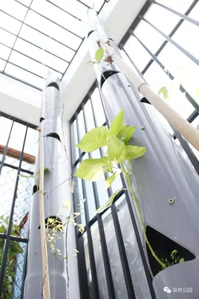 6.5米X11米，滿眼綠色的鄉(xiāng)村別墅，含平面圖