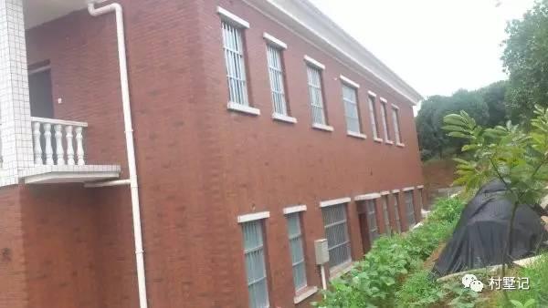 婆婆執(zhí)意要兩兄弟自建農(nóng)村雙拼別墅，沒想到建出來效果驚人