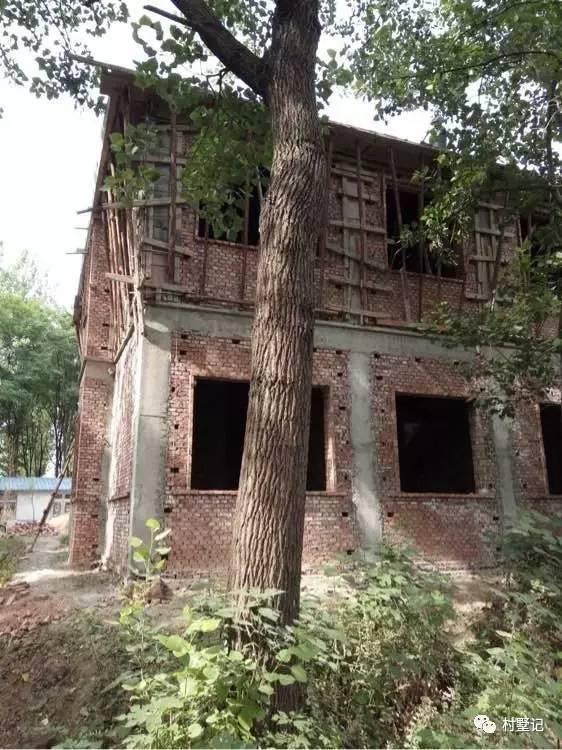 安徽網(wǎng)友為父母自建二層復式農(nóng)村別墅，美得不敢看