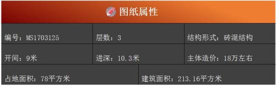 9X10米農(nóng)村小別墅戶型，5室2廳帶露臺(tái)，外觀造型大氣。