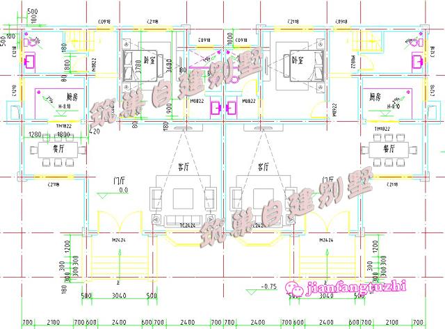 二層農村兄弟雙拼房別墅設計圖效果圖，總面積450平方米22x11米，對稱設計彰顯房屋的氣勢