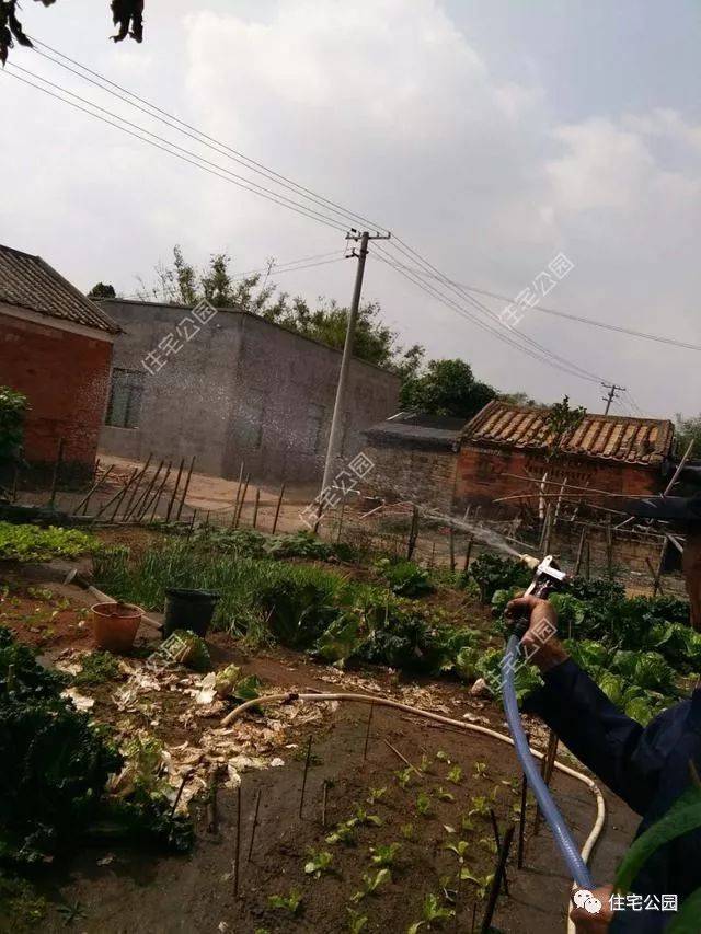 曬家丨回鄉(xiāng)蓋別墅，80歲母親全程監(jiān)工，60萬建成引來全鄉(xiāng)觀摩！