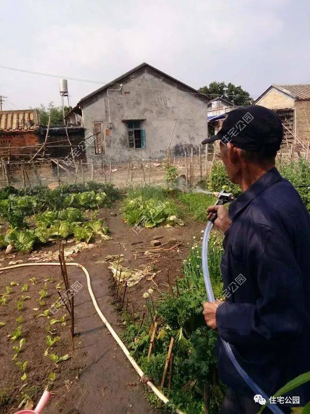 曬家丨回鄉(xiāng)蓋別墅，80歲母親全程監(jiān)工，60萬建成引來全鄉(xiāng)觀摩！