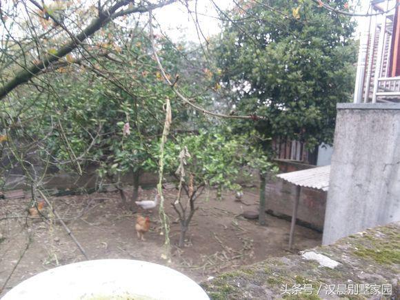 自建三層別墅，附平面設(shè)計圖，造價30萬左右，12X9.3米有露臺和院子