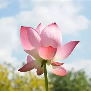 別墅要大氣,客廳中空必不可少！