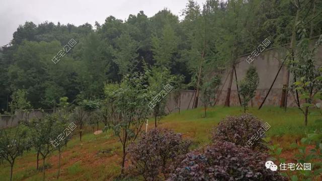 今日實(shí)例別墅設(shè)計(jì)圖，回農(nóng)村建別墅，也算是衣錦還鄉(xiāng)了，還可以盡盡孝道