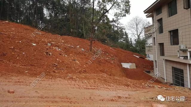 今日實(shí)例別墅設(shè)計(jì)圖，回農(nóng)村建別墅，也算是衣錦還鄉(xiāng)了，還可以盡盡孝道