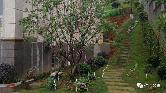 今日實(shí)例別墅設(shè)計(jì)圖，回農(nóng)村建別墅，也算是衣錦還鄉(xiāng)了，還可以盡盡孝道