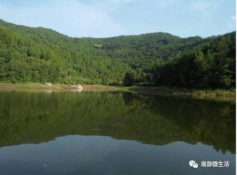 農(nóng)村小伙自建一層小別墅過程全直播，自建房的可以看看哦