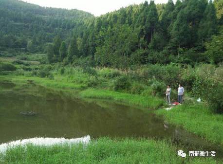 農(nóng)村小伙自建一層小別墅過程全直播，自建房的可以看看哦