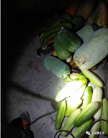 農(nóng)村小伙自建一層小別墅過程全直播，自建房的可以看看哦